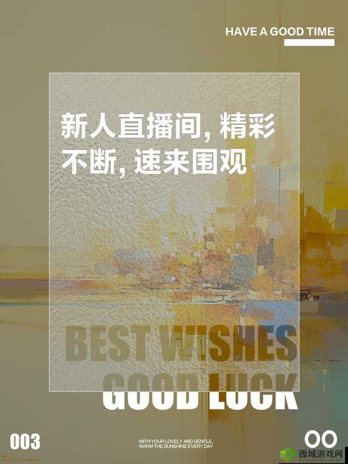 看 b 站二十四小时直播间:全天候精彩不断