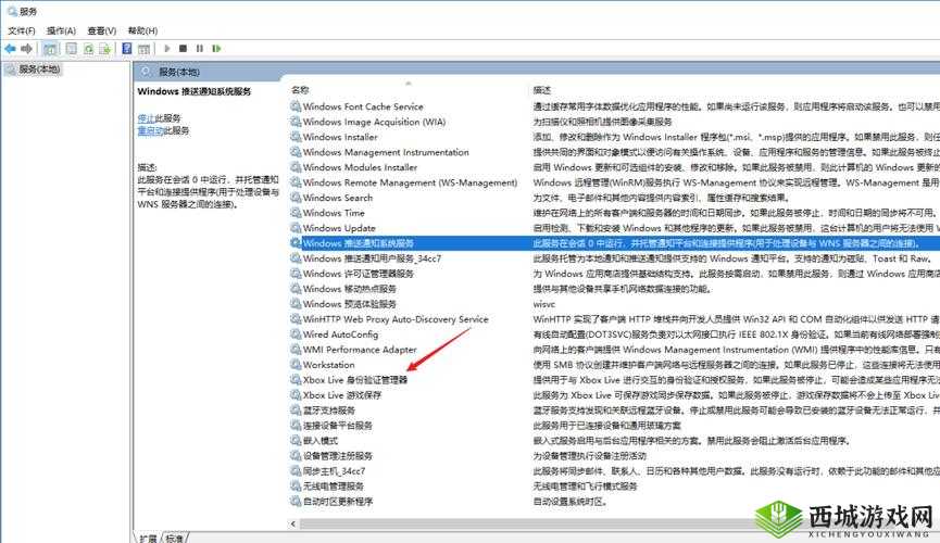 大肥胖 VPSWINDOWS:探索未知的网络世界