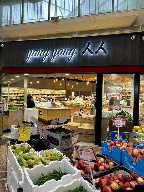 色窝窝华人社区:一个充满活力与特色的华人聚居地