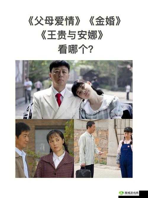 适合夫妻两个人看的电视剧推荐:父母爱情金婚甄嬛传等