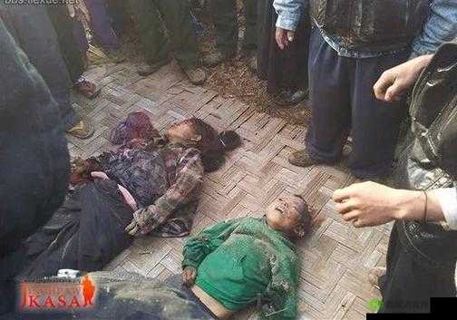 缅甸北部恐怖血腥网站 www:揭秘缅北黑暗网络的恐怖真相