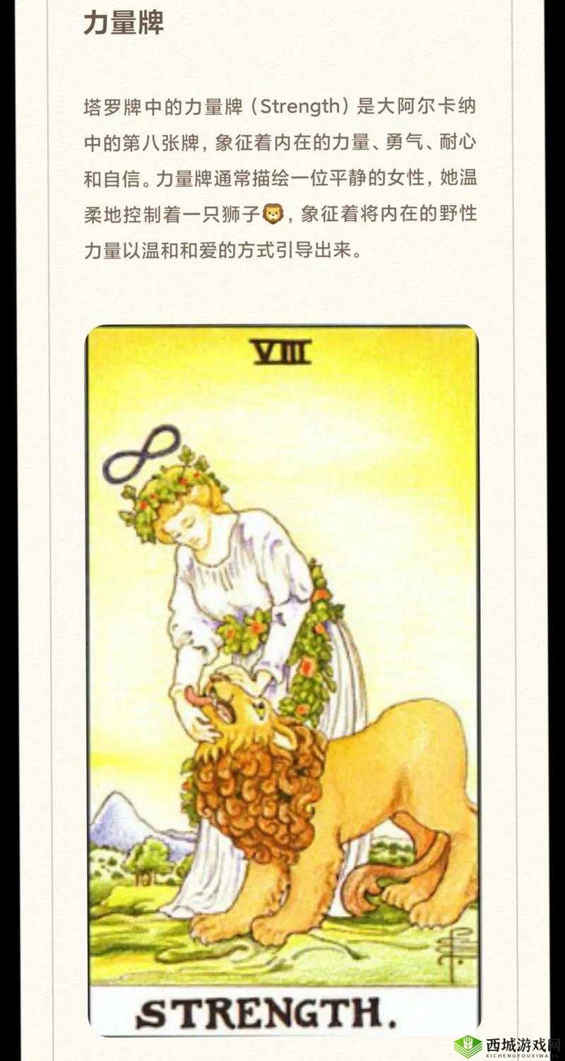 永远的七日之都,塔罗牌守护的奥秘与力量