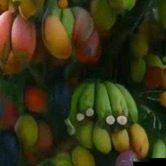 # 香蕉视频:探索无尽精彩,尽在入口处