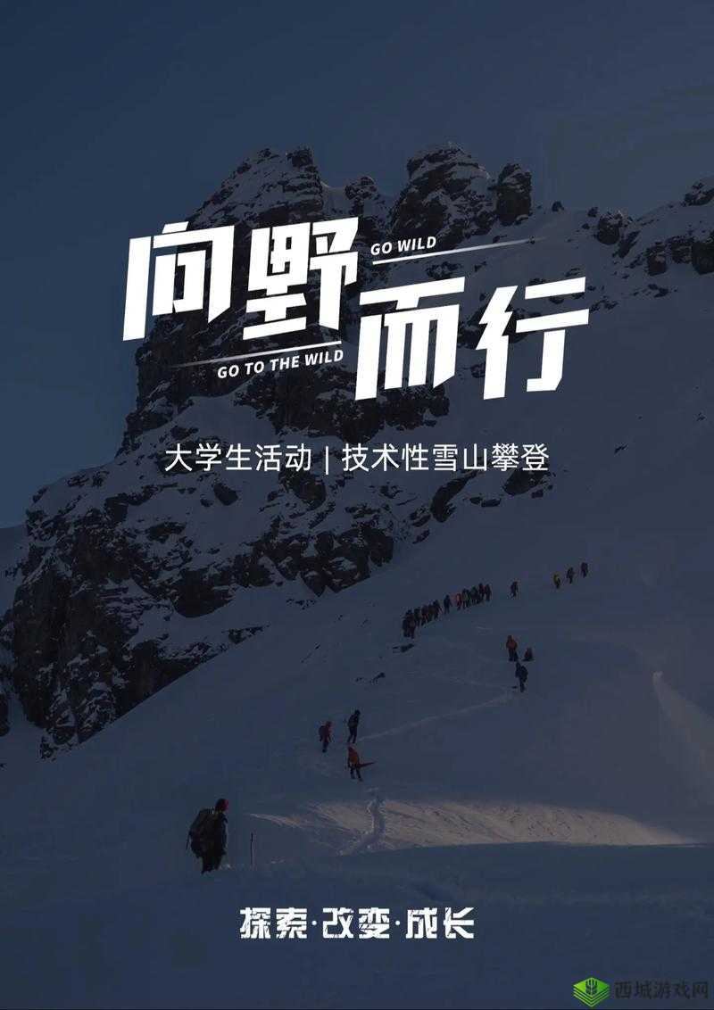 糙汉 1Nh 之独特魅力与不凡经历:探寻未知之旅