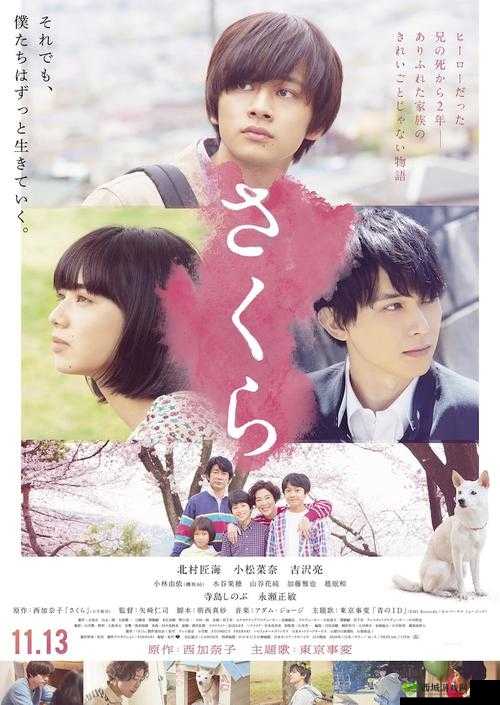 樱花电影大全免费观看：众多精彩影片等您来赏