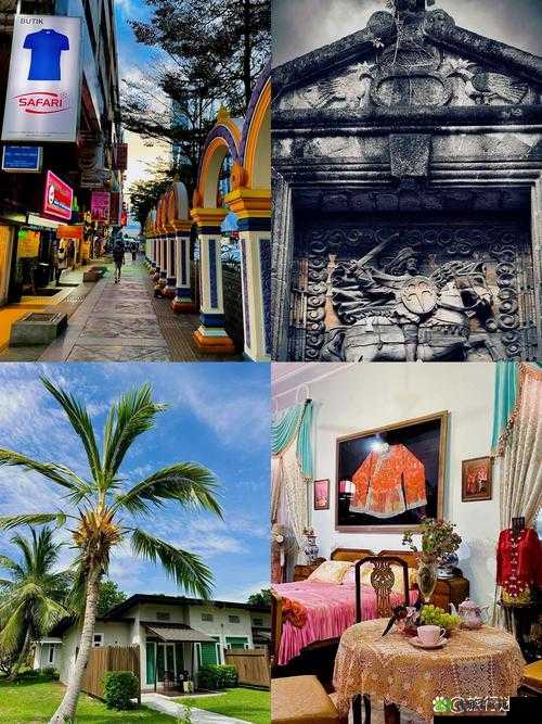 欧美XXXX：探索其独特文化与艺术魅力的深度之旅