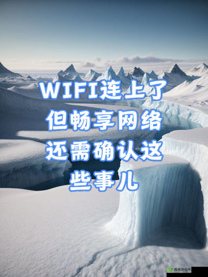 51 外网:畅享网络世界的精彩与便捷