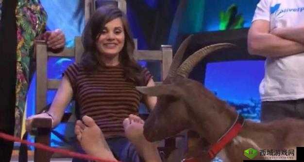 女孩子罪犯涂蜂蜜放山羊行为引发的荒诞事件