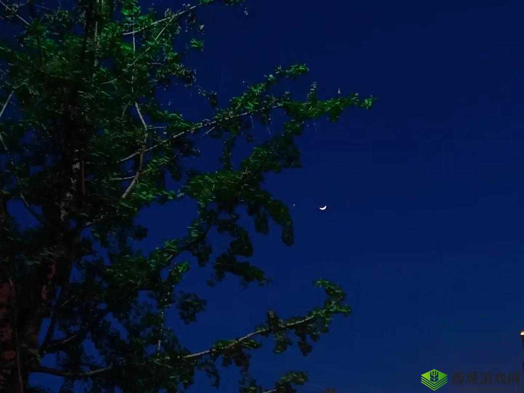 宝宝今晚不戴小雨伞了:我们一起去看星星月亮