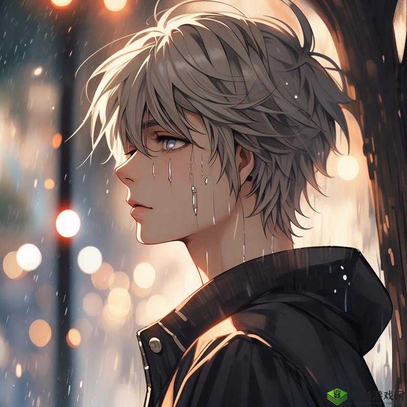 被男生揉下面视频动漫:探索情感与成长的故事