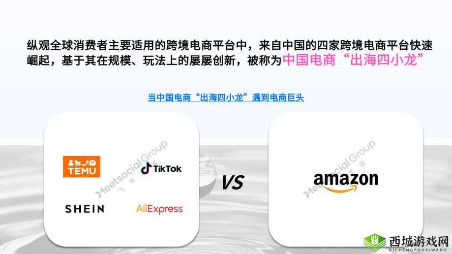 2024Amazon 欧洲站:开启跨境电商新征程的重要平台