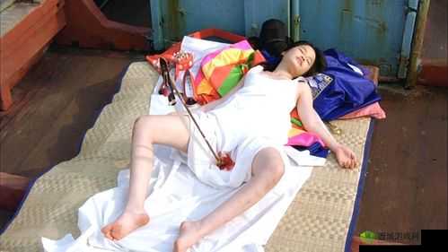 HD 专干日本老太:一场跨越年龄的禁忌之恋