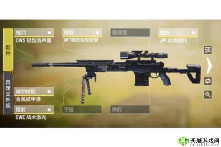 使命召唤DLQ33黑夜光明枪械评测