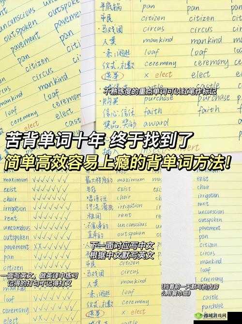 如何用学霸的鸡背单词:一个高效学习法的分享