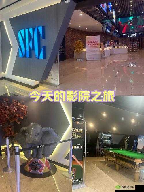 神秘 vip 通道:带你开启独特体验之旅的神秘入口