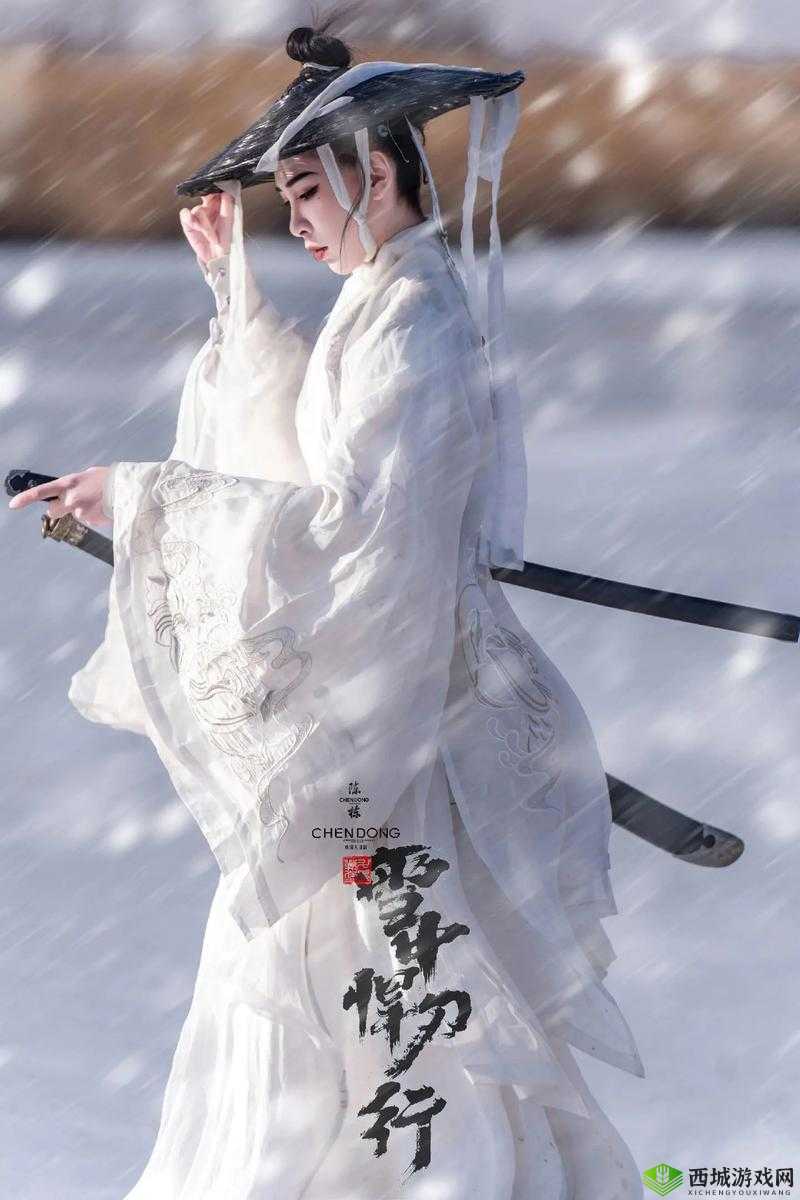 我的侠客与广州流浪武士的传奇之旅