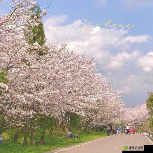 久等了国产精品 sm 调教樱花,更多精彩等你发现