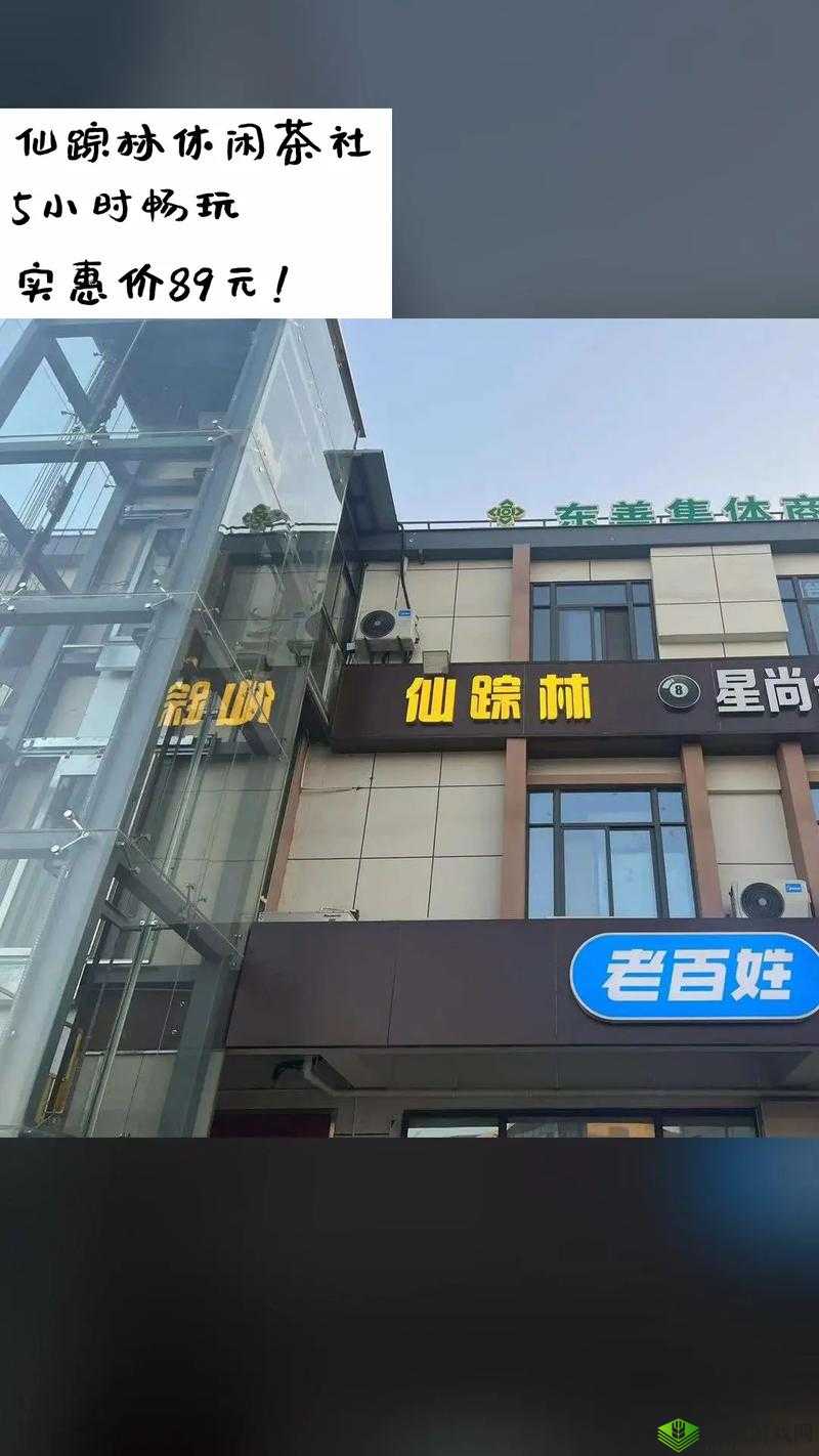 2024 仙踪林站欢迎您的到来:这里将带给您全新体验与惊喜