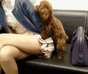 嗯啊嗯啊动态图:有趣的互动画面展现