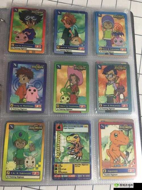 国产特级毛卡片不收:独特视角呈现别样精彩