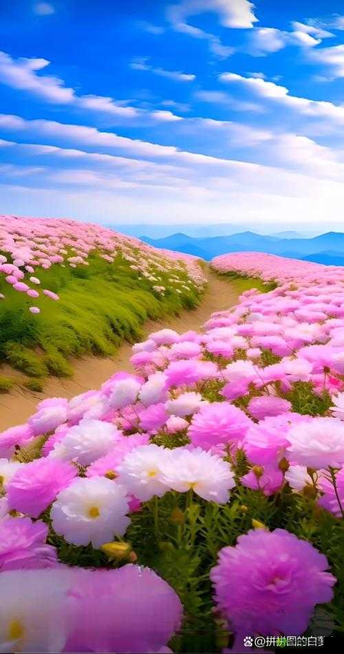 粉色 APP 下载安装无限看免费苏州晶体 IOS:粉色世界的无限精彩等你来探索