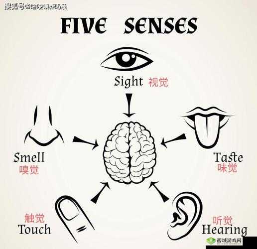 舔阴含阳黄片:探索独特的视觉与感官冲击