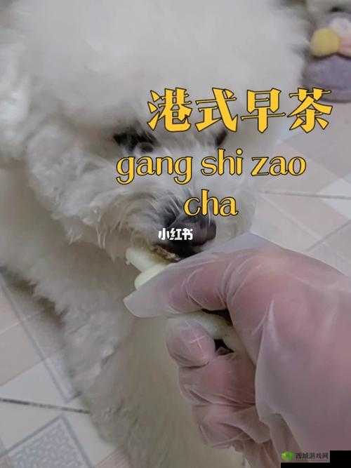 美国人与动物胶配方有几种：探究其多样性与应用领域