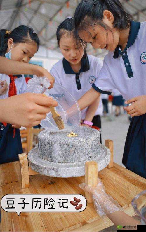 做运动磨豆浆视频:展示健康生活与传统技艺的完美结合