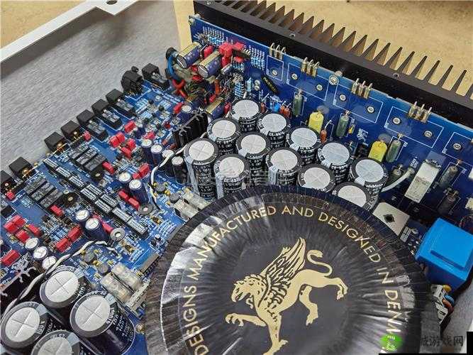 贵丰大菠萝 805D4 音响体验分享:震撼心灵的音乐之旅