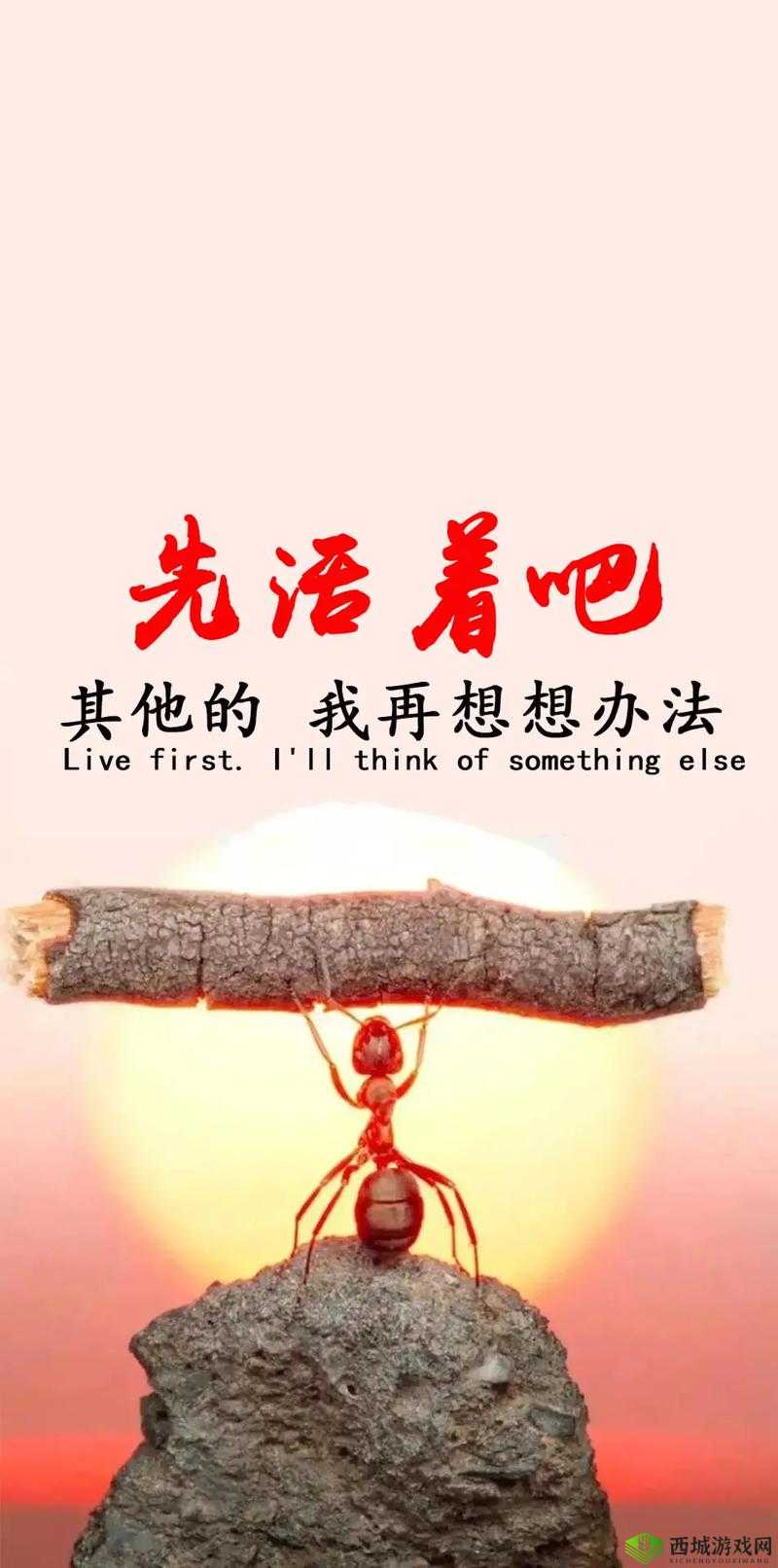 我还没用力你怎么那么痛:令人费解的话语背后真相待解