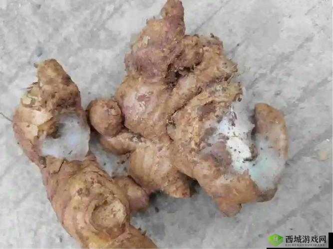 因为不吃姜被罚夹一年生姜:这究竟是怎么一回事呢