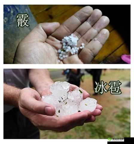 小豆寒天，和风飨灵的夏日清凉