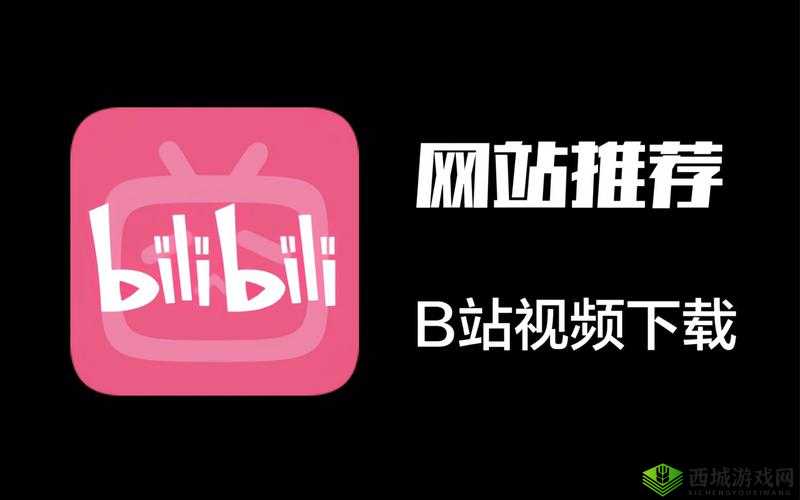 B站大全不收费:海量精彩视频资源免费畅享