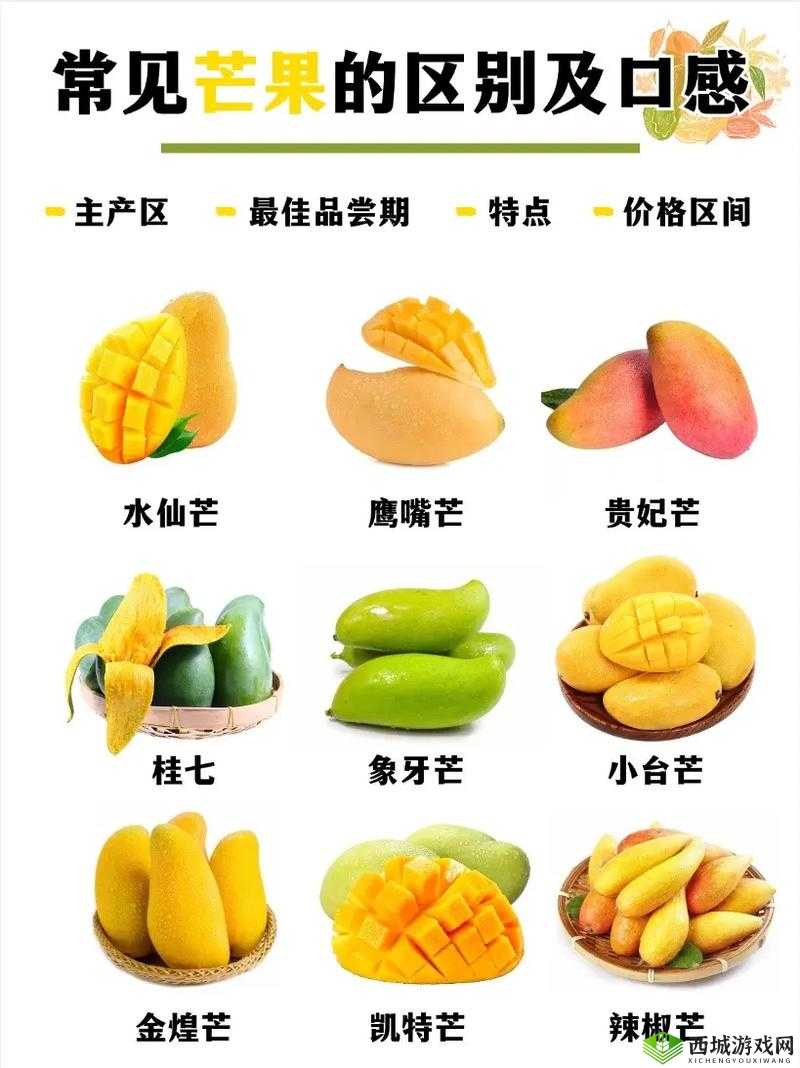 亚VA芒果乱码一二三四区别:深入探究其具体差异与特点