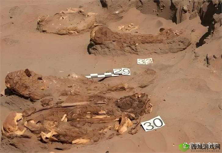 万灵启源，探索鸵鸟新皮肤背后的神秘木乃伊传说