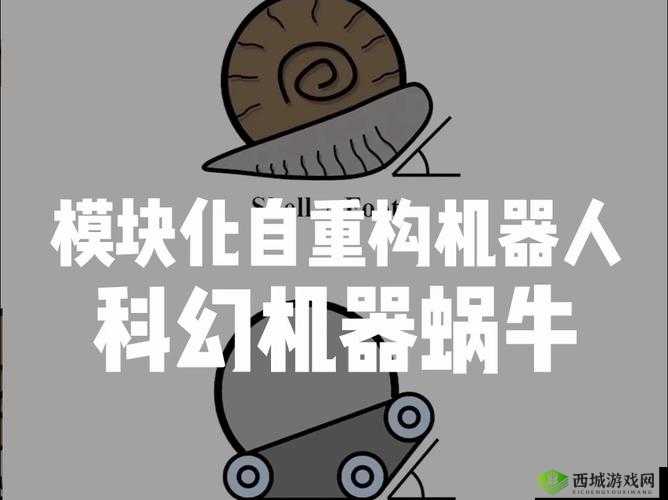 探索无限可能，最强蜗牛火箭机器人的奇妙用处
