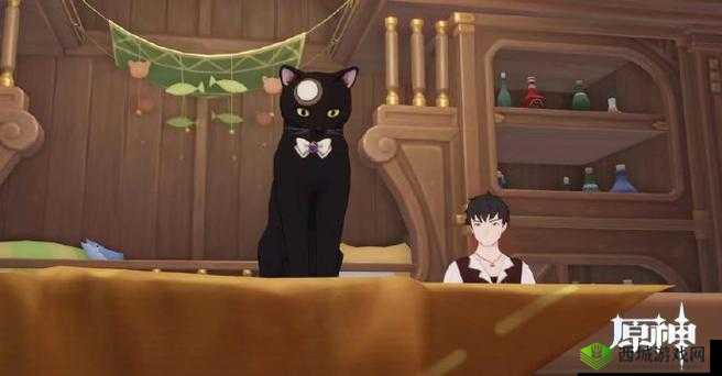 探秘原神，小王子黑猫的奇妙之旅
