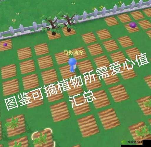 摩尔庄园爱心值提升全攻略，解锁更多乐趣与成就