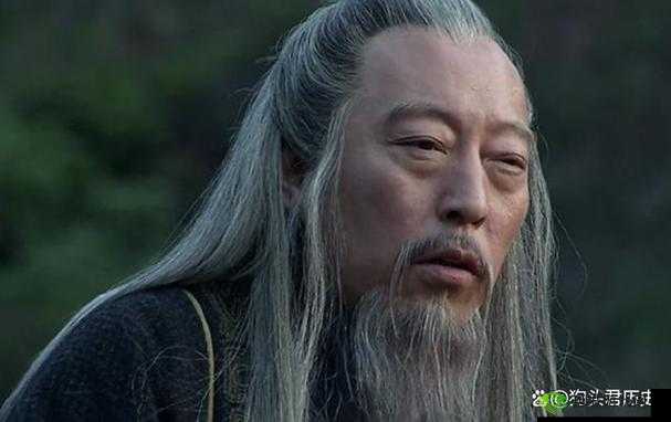 鸿图之下，司马懿，智谋与权术的巅峰演绎