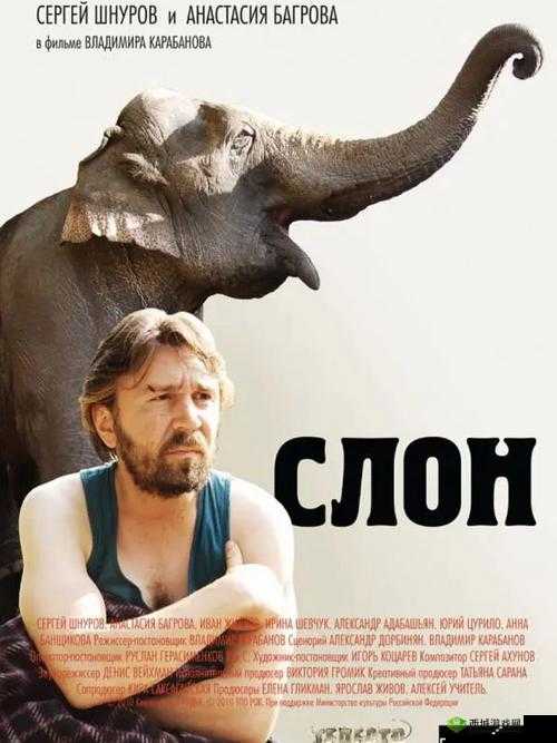 5177tv 力浮影大象:探寻大象的奇妙世界