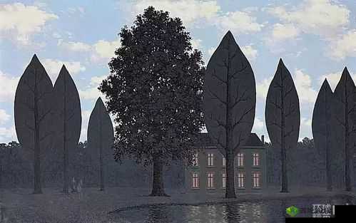 看镜子里我们的结合的地方科学:关于其的深入研究与分析探讨