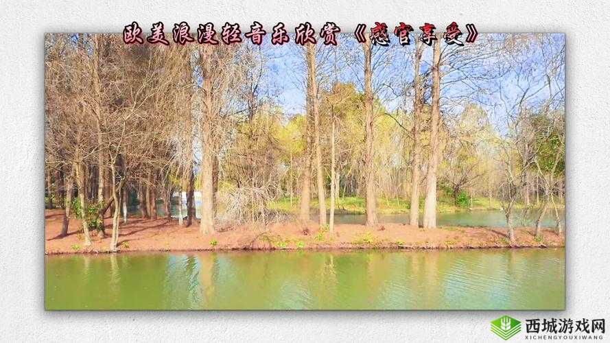 妍小videodes 性爽 hd:视觉与感官的极致享受