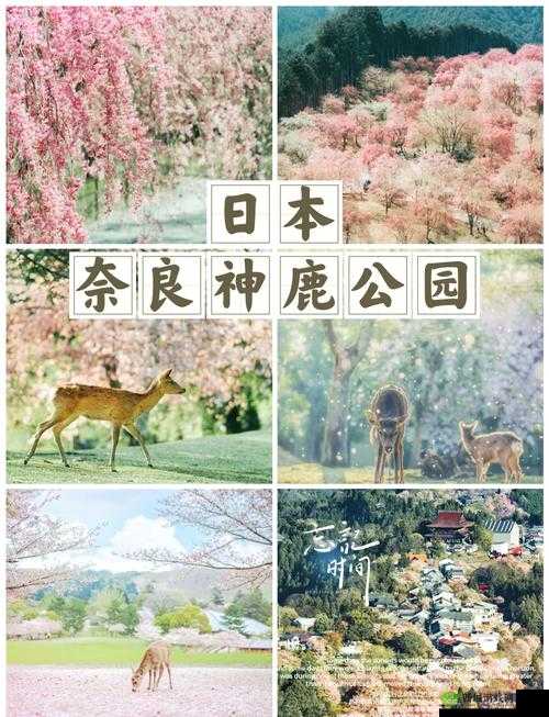 闺蜜帮我觅得两位外国人:探索文化差异的奇妙之旅