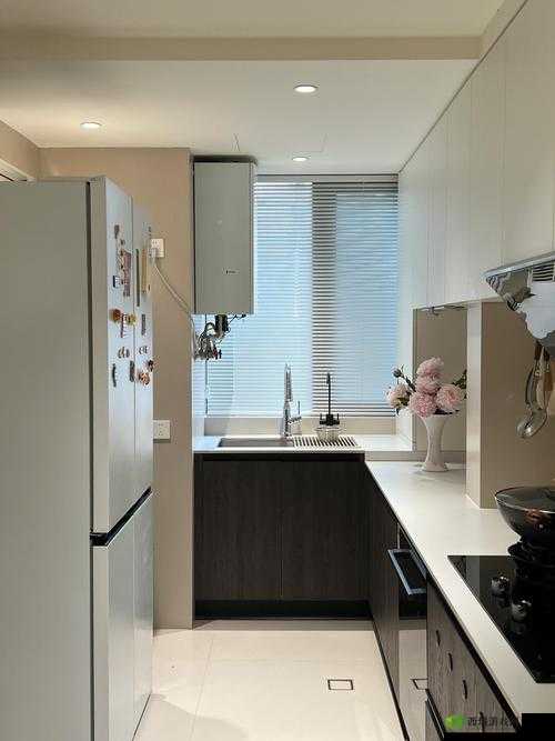 从厨房一路干到客厅好吗即将被替代:这意味着什么呢