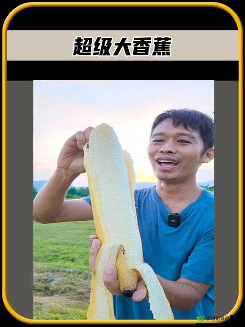 大香蕉XXXX:探索美味背后的神秘世界与独特魅力