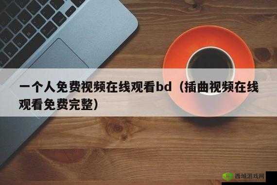 完整插曲视频免费在线观看中文：畅享精彩无需等待