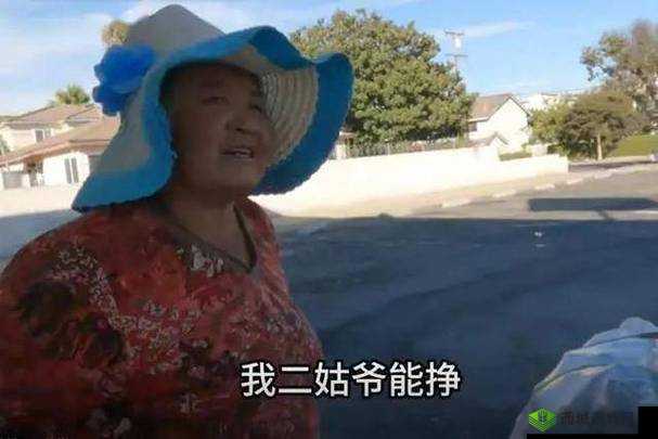 沈阳老阿姨最后的下场百度百科:背后的故事与启示