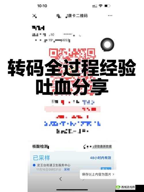 砖矿转码在线：提供高效稳定的转码服务