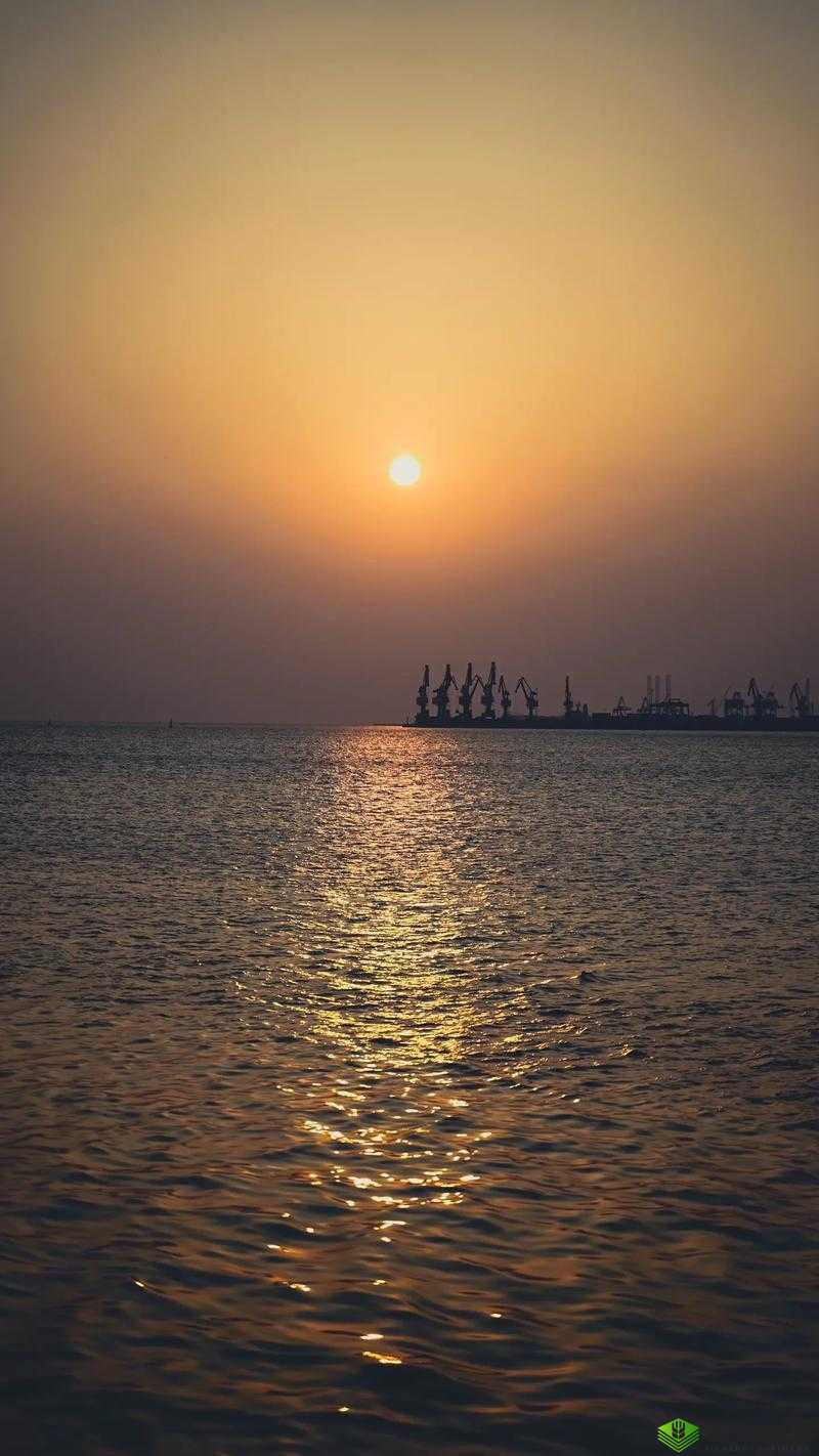 凌晨三点观看的独特视频:一场别样的视觉体验