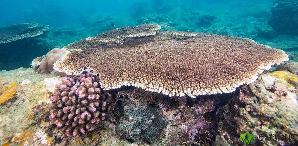 2024 海角官网首页登录入口:开启精彩网络世界的大门